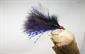 Blue Flash Cormorant