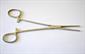 Stainless Steel Forceps